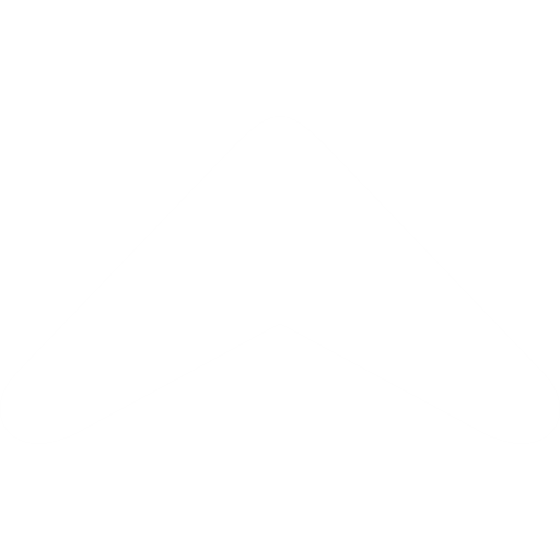 chevron direction top white icon